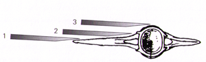 kataba